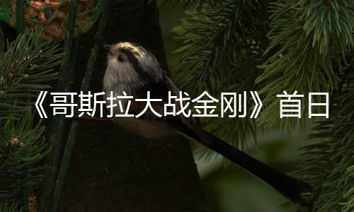 金刚纪录哥日票斯拉首刷新大战亿 房达