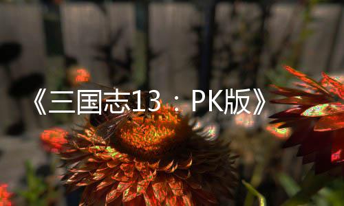 K版托玩巧国志委三法技