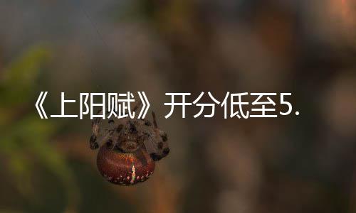 k不必扑街至5网友上了吗阳赋分低开