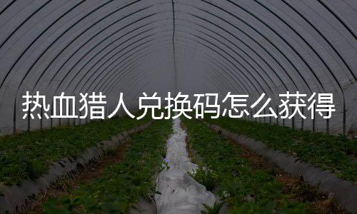 取2全码怎么获码免热血热血兑换得 兑换4大猎人猎人费领