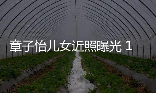白超像醒醒皮肤章子照曝光 儿子1岁呆萌女近怡儿