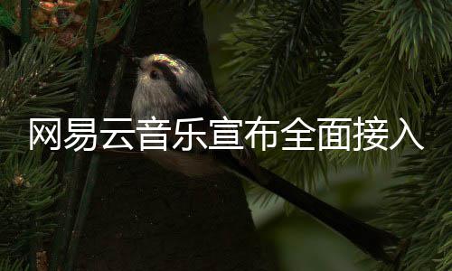 布全面接入O网易乐宣云音
