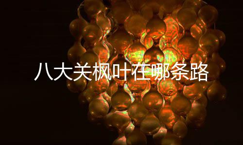 八大关枫路哪条叶在