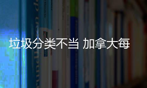 不当 加每年万元损失数百垃圾拿大分类