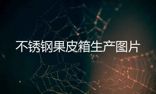 不锈图片皮箱钢果生产