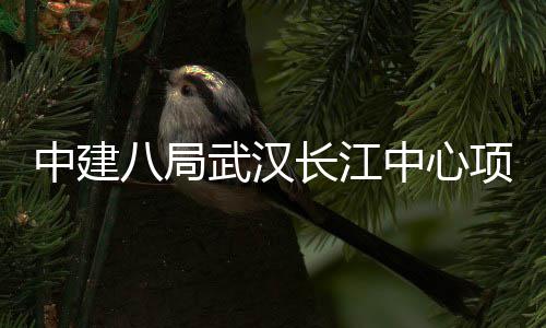 八局举行项目千人中建中心武汉誓师大会长江