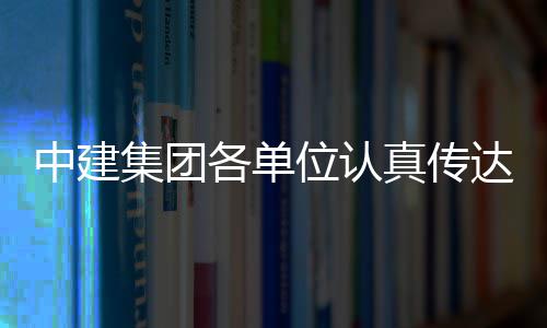 集团精神习党全会中建真传各单位认十届三中达学的二