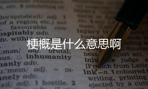 梗概么意是什思啊