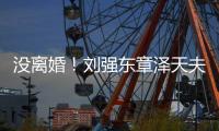 没离婚！刘强东章泽天夫妇成立“天强”新公司
