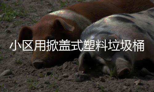 桶小区盖式塑料垃圾用掀