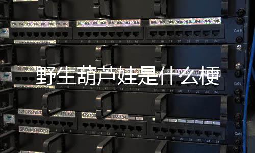 梗娃是什么葫芦野生