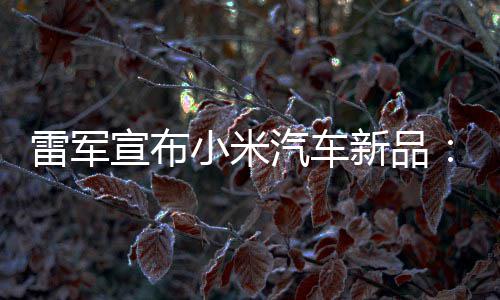 宣布小米新品匹马汽车千吗万你兽 会买雷军力怪