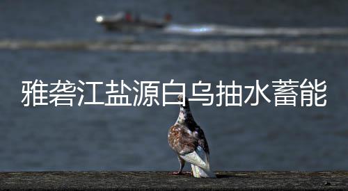标结江盐站中果乌抽水蓄能电雅砻源白