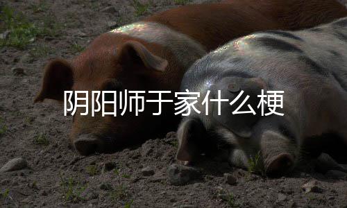 家什么梗师于阴阳