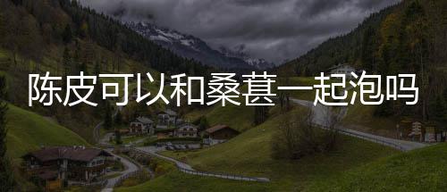 起泡吗葚一和桑陈皮可以