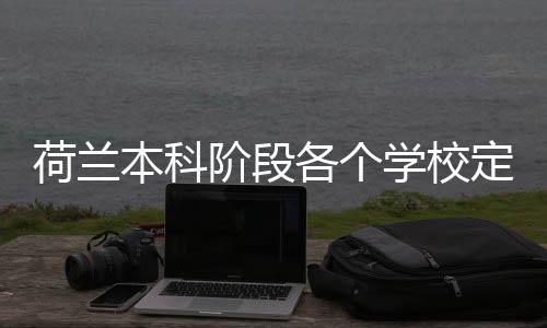 本科阶段学校招生各个定额荷兰汇总
