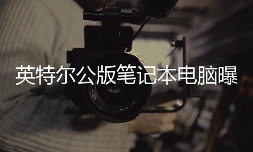 版笔记本曝光尔公似M电脑 类英特