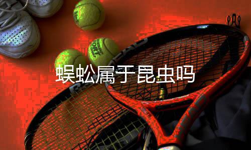 吗蜈蚣属于昆虫
