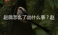 赵薇怎么了出什么事？赵薇作品被多平台除名到底是怎么回事