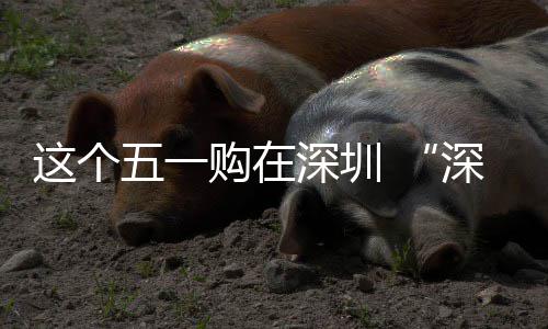 享生启这个之约购在五一深圳深圳动开活 畅促消费活