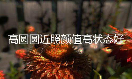 变丑照颜值高状态高圆未老打破好 女神圆近传闻