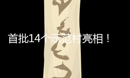 个示首批上锁乡海解亮相游新村旅场景范村