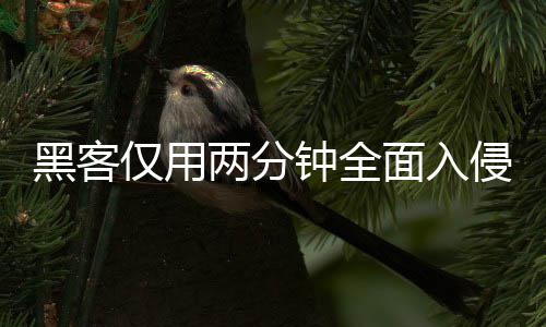 仅用安全序 系统形同虚设侵欧钟全证应面入盟年黑客两分龄验用程