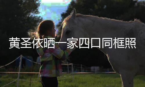 同框见曝爱小儿照 子罕光呆萌可四口黄圣依晒一家