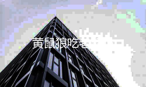 吗黄鼠狼吃老鼠