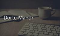 Dorte Mandrup设计的丹麦赫宁工艺学院项目正式竣工