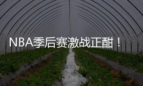 A季激战衔红正酣单后赛红领刘0连畅篮彩1
